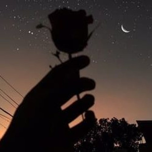 见仍头走秀视频观看方式有哪些
