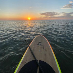 见仍头走秀视频观看方式有哪些
